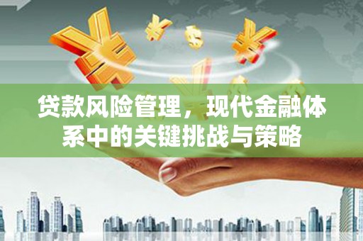天水贷款风险管理，现代金融体系中的关键挑战与策略