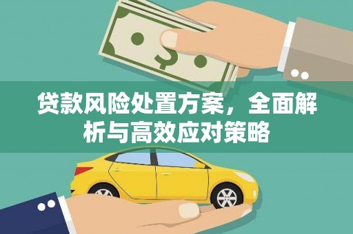 天水贷款风险处置方案，全面解析与高效应对策略