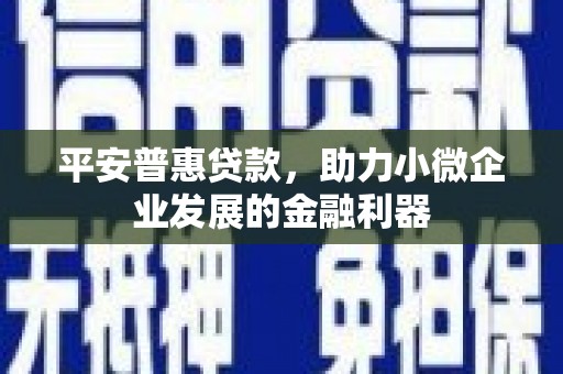 天水平安普惠贷款，助力小微企业发展的金融利器