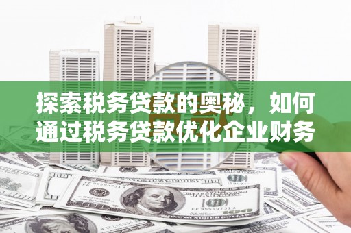 天水探索税务贷款的奥秘，如何通过税务贷款优化企业财务