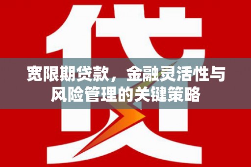 天水宽限期贷款，金融灵活性与风险管理的关键策略