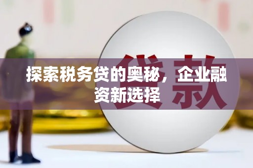 天水探索税务贷的奥秘，企业融资新选择