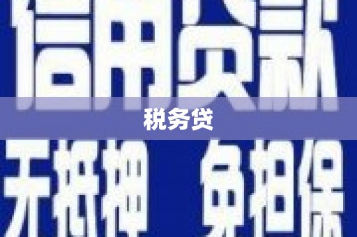 天水税务贷
