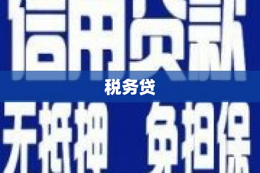 天水税务贷