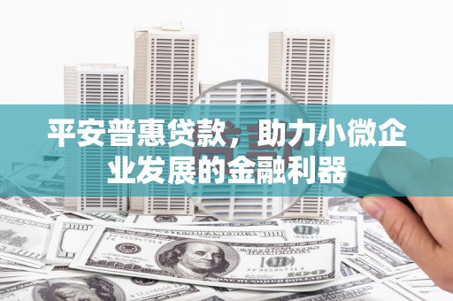 天水平安普惠贷款，助力小微企业发展的金融利器