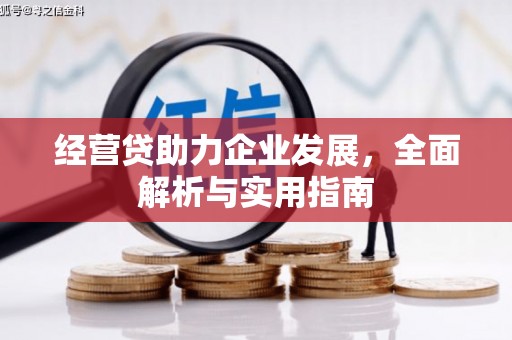 天水经营贷助力企业发展，全面解析与实用指南