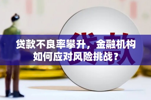 天水贷款不良率攀升，金融机构如何应对风险挑战？