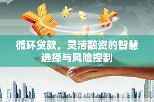 天水循环贷款，灵活融资的智慧选择与风险控制