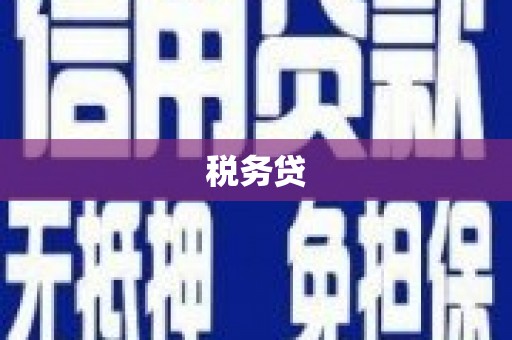 天水税务贷