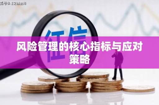 天水风险管理的核心指标与应对策略