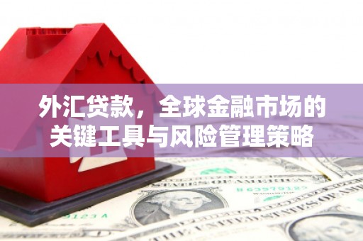 天水外汇贷款，全球金融市场的关键工具与风险管理策略