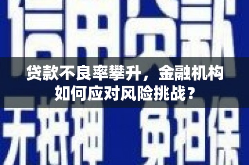 天水贷款不良率攀升，金融机构如何应对风险挑战？