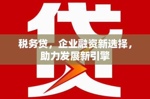 天水税务贷，企业融资新选择，助力发展新引擎
