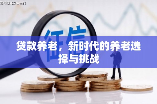 天水贷款养老，新时代的养老选择与挑战