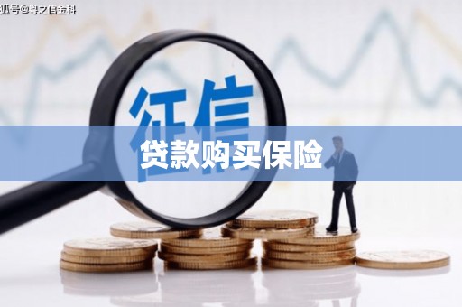 天水贷款购买保险