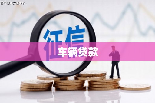 天水车辆贷款