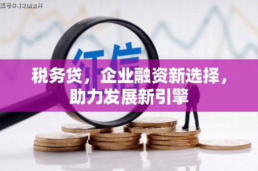天水税务贷，企业融资新选择，助力发展新引擎