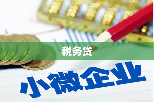 天水税务贷