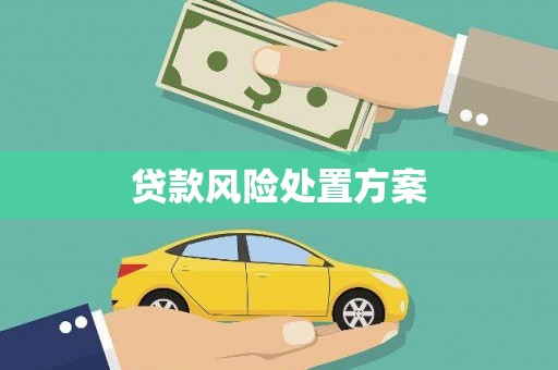 天水贷款风险处置方案