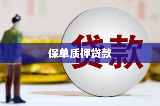天水保单质押贷款