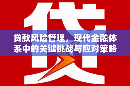 天水贷款风险管理，现代金融体系中的关键挑战与应对策略