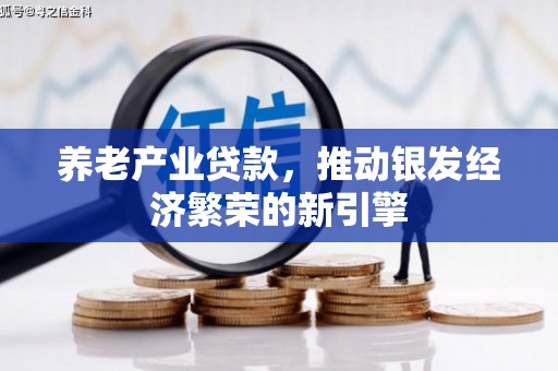 天水养老产业贷款，推动银发经济繁荣的新引擎