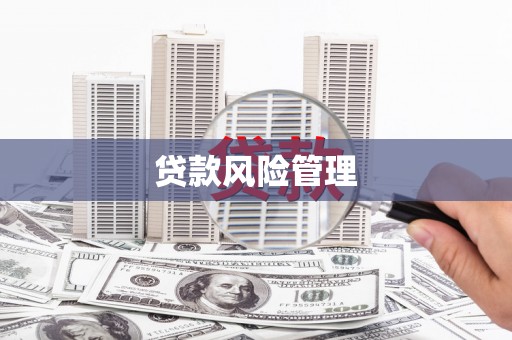 天水贷款风险管理