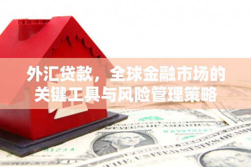 天水外汇贷款，全球金融市场的关键工具与风险管理策略