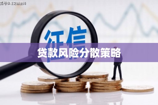 天水贷款风险分散策略