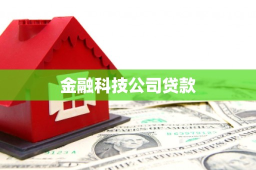 天水金融科技公司贷款