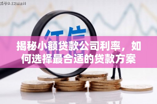 天水揭秘小额贷款公司利率，如何选择最合适的贷款方案