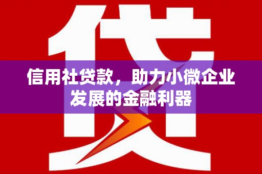 天水信用社贷款，助力小微企业发展的金融利器