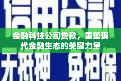 天水金融科技公司贷款，重塑现代金融生态的关键力量