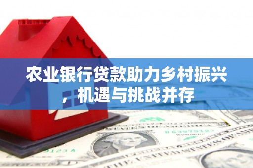 天水农业银行贷款助力乡村振兴，机遇与挑战并存