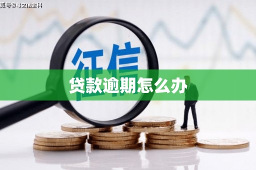 天水贷款逾期怎么办