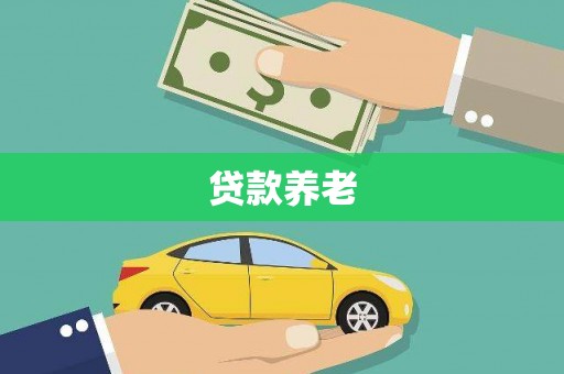天水贷款养老
