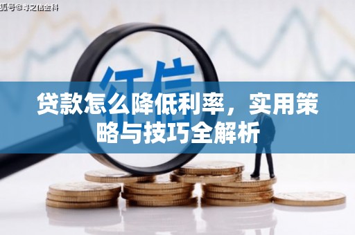 天水贷款怎么降低利率，实用策略与技巧全解析