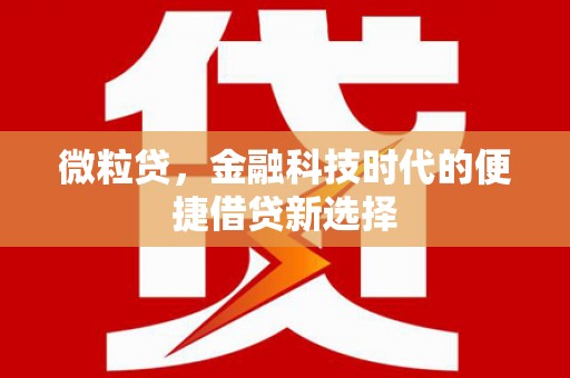 天水微粒贷，金融科技时代的便捷借贷新选择