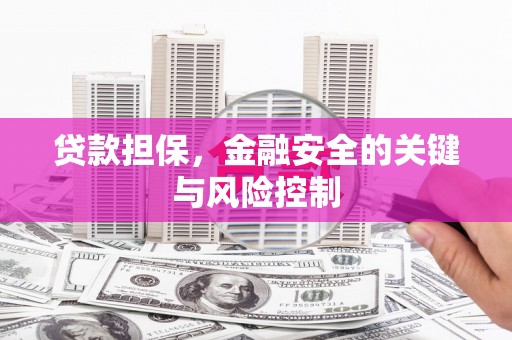 天水贷款担保，金融安全的关键与风险控制