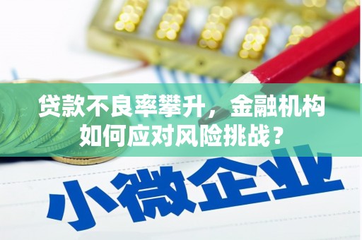 天水贷款不良率攀升，金融机构如何应对风险挑战？