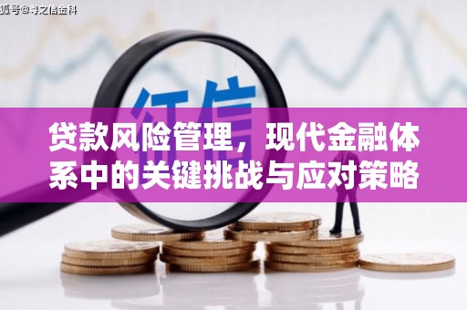 天水贷款风险管理，现代金融体系中的关键挑战与应对策略