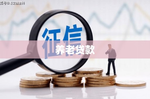 天水养老贷款