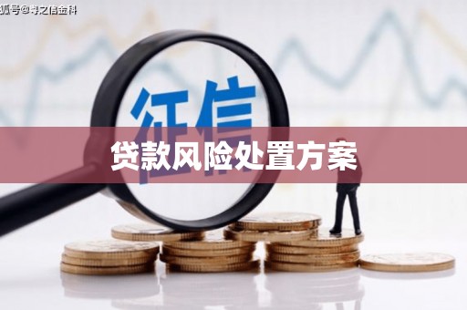 天水贷款风险处置方案