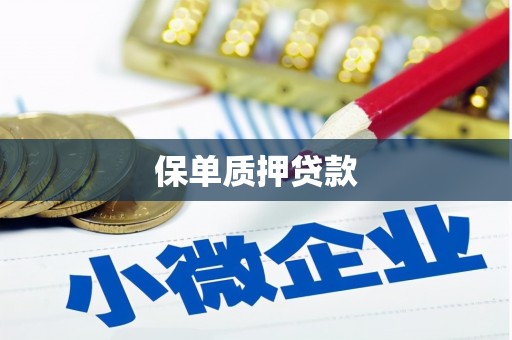 天水保单质押贷款