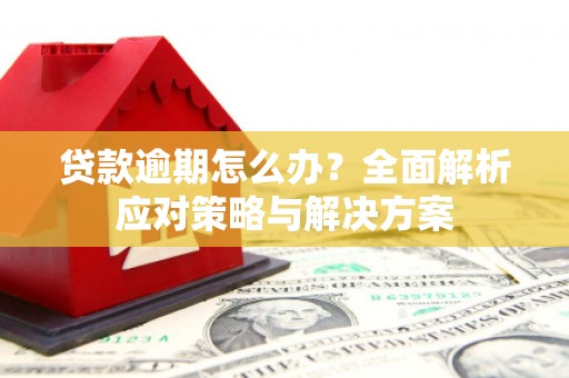 天水贷款逾期怎么办？全面解析应对策略与解决方案