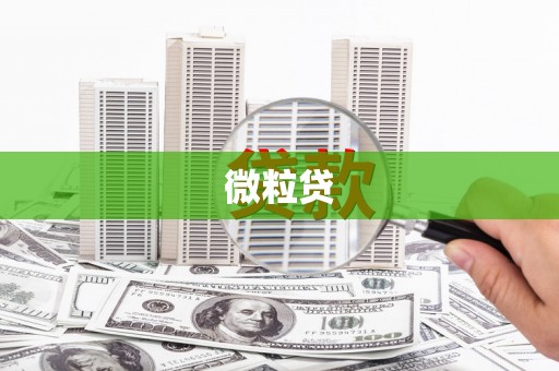 天水微粒贷