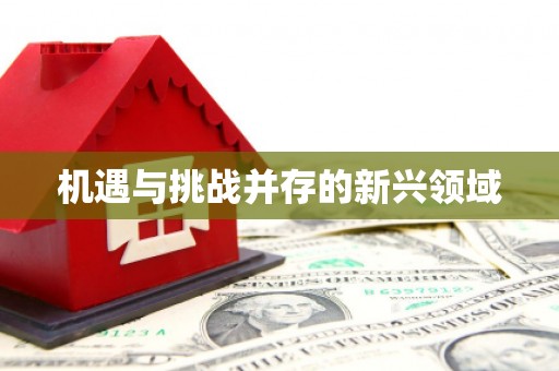 天水机遇与挑战并存的新兴领域