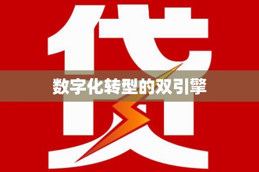 天水数字化转型的双引擎