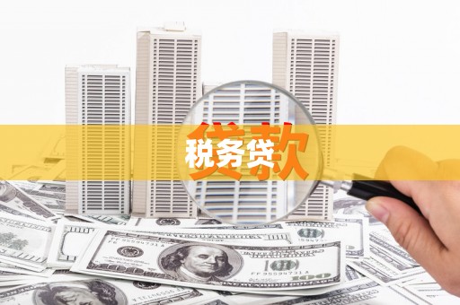 天水税务贷