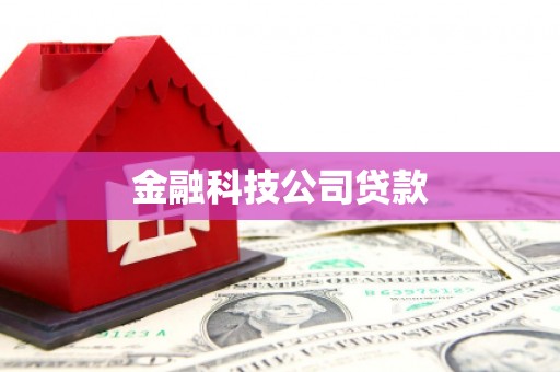 天水金融科技公司贷款